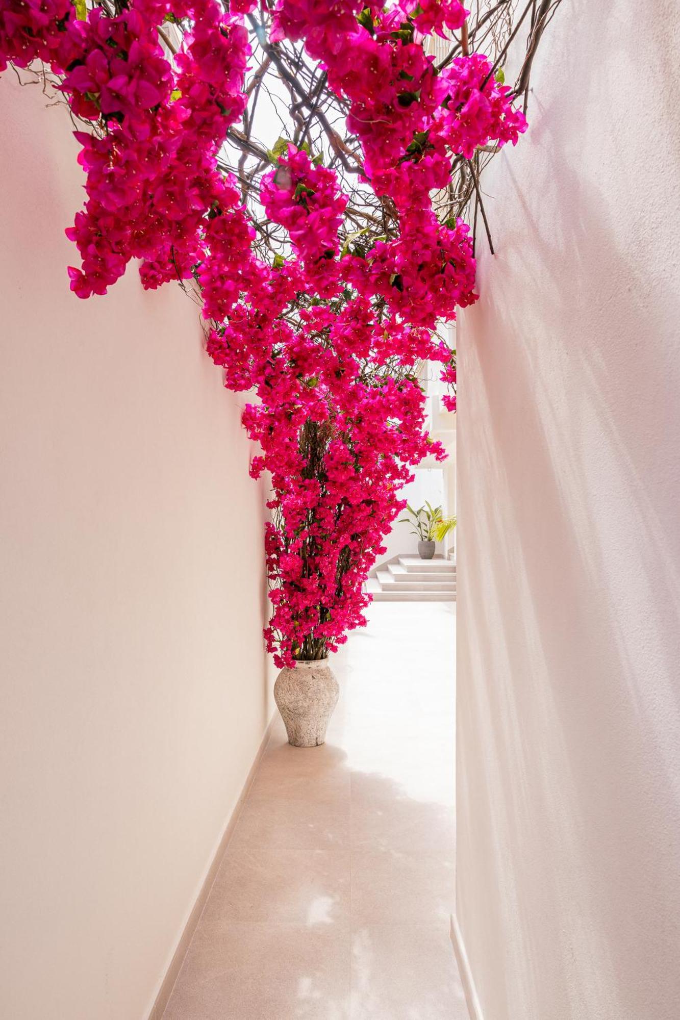 Malacosta A - Mc Apartments Ibiza エクステリア 写真